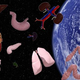 Illustration for article titled Apparently plants wont be the only thing growing on the ISS...
